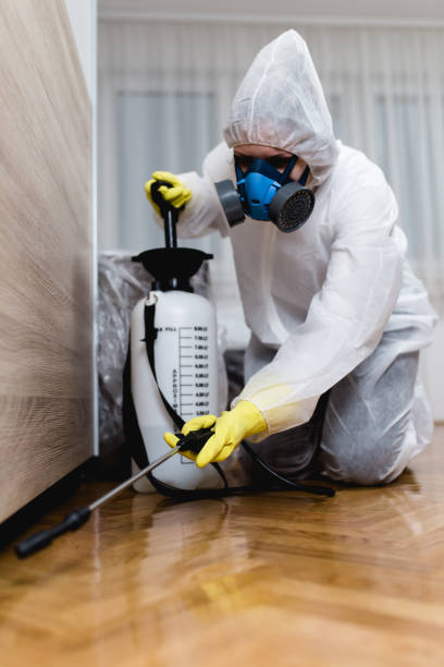 Best Pest Control for Multi-Family Homes  in Shady Hollow, TX